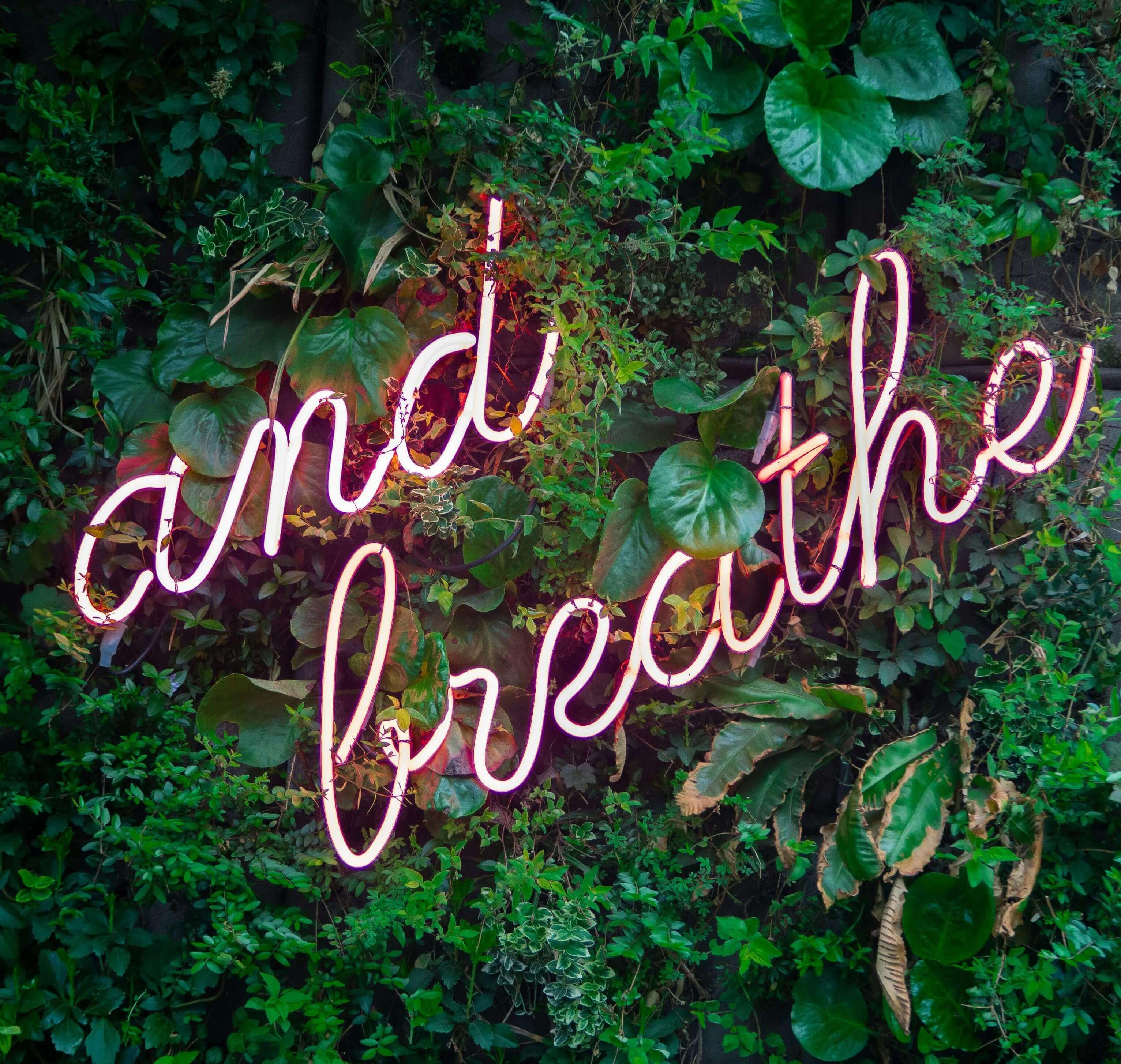 breathe